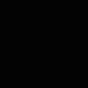 Meet your Posher, Dina